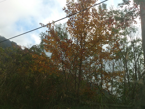 «ö¦¹¦b·sµøµ¡ÂsÄý¹Ï¤ù