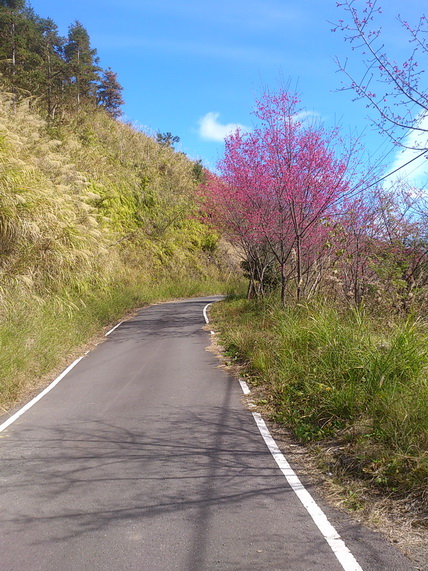 «ö¦¹¦b·sµøµ¡ÂsÄý¹Ï¤ù