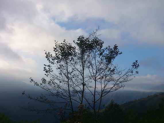 «ö¦¹¦b·sµøµ¡ÂsÄý¹Ï¤ù