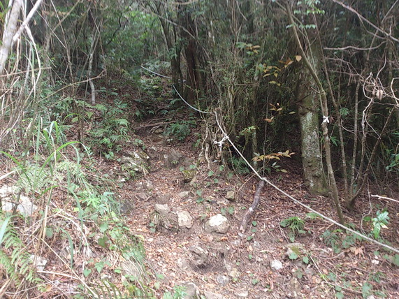 «ö¦¹¦b·sµøµ¡ÂsÄý¹Ï¤ù