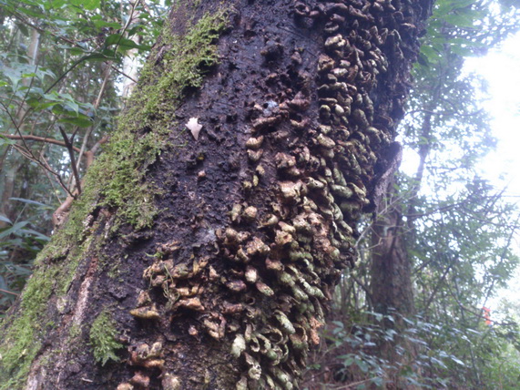 «ö¦¹¦b·sµøµ¡ÂsÄý¹Ï¤ù