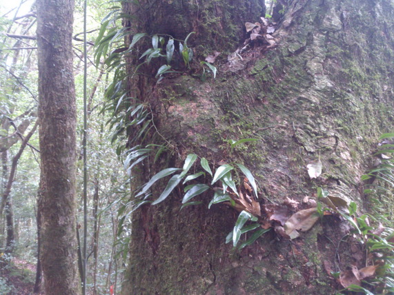 «ö¦¹¦b·sµøµ¡ÂsÄý¹Ï¤ù