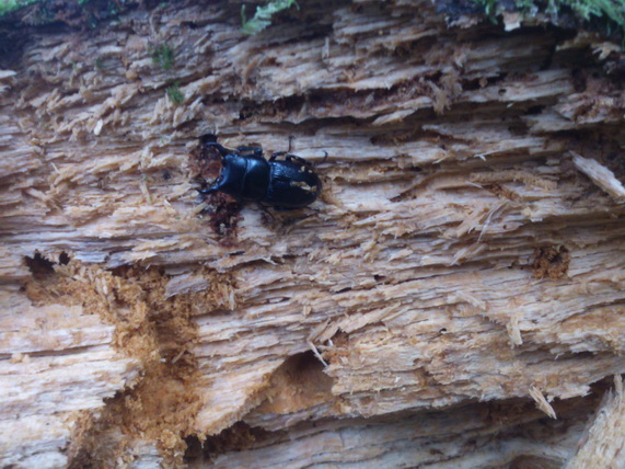 «ö¦¹¦b·sµøµ¡ÂsÄý¹Ï¤ù