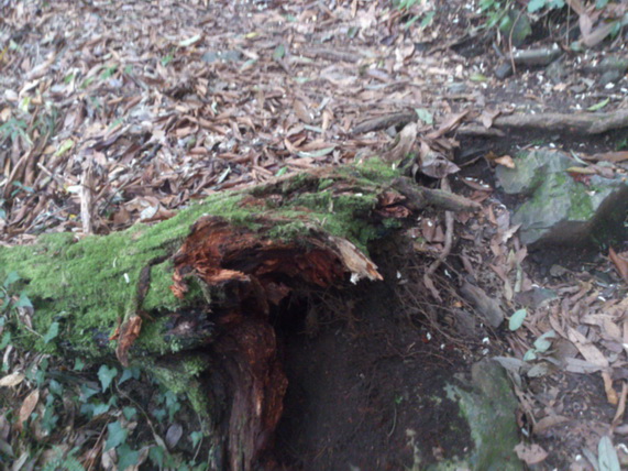 «ö¦¹¦b·sµøµ¡ÂsÄý¹Ï¤ù