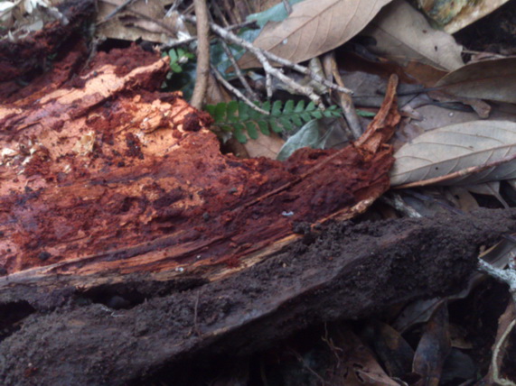 «ö¦¹¦b·sµøµ¡ÂsÄý¹Ï¤ù