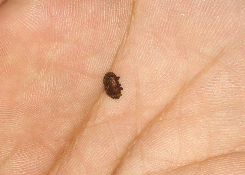 «ö¦¹¦b·sµøµ¡ÂsÄý¹Ï¤ù