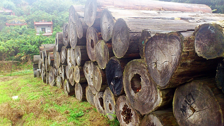 «ö¦¹¦b·sµøµ¡ÂsÄý¹Ï¤ù