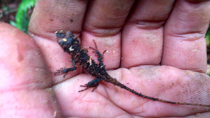 «ö¦¹¦b·sµøµ¡ÂsÄý¹Ï¤ù