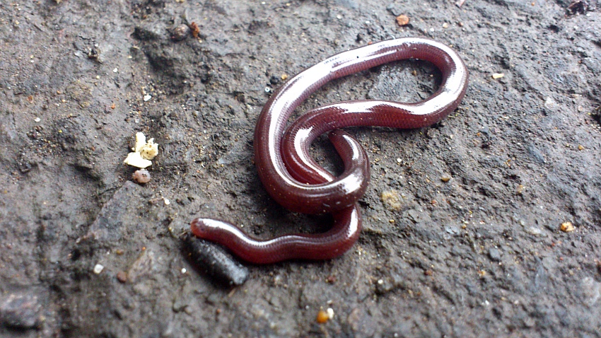 «ö¦¹¦b·sµøµ¡ÂsÄý¹Ï¤ù