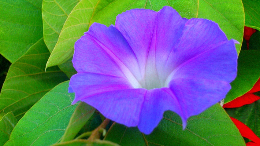 «ö¦¹¦b·sµøµ¡ÂsÄý¹Ï¤ù