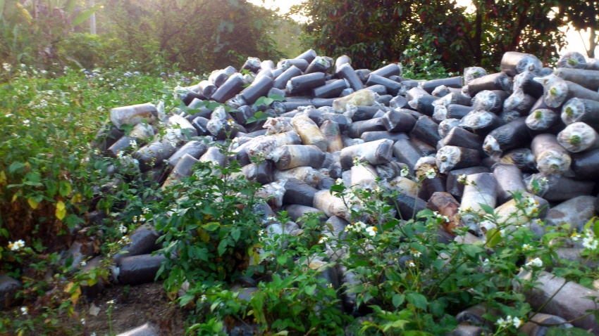 «ö¦¹¦b·sµøµ¡ÂsÄý¹Ï¤ù