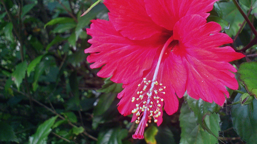 «ö¦¹¦b·sµøµ¡ÂsÄý¹Ï¤ù