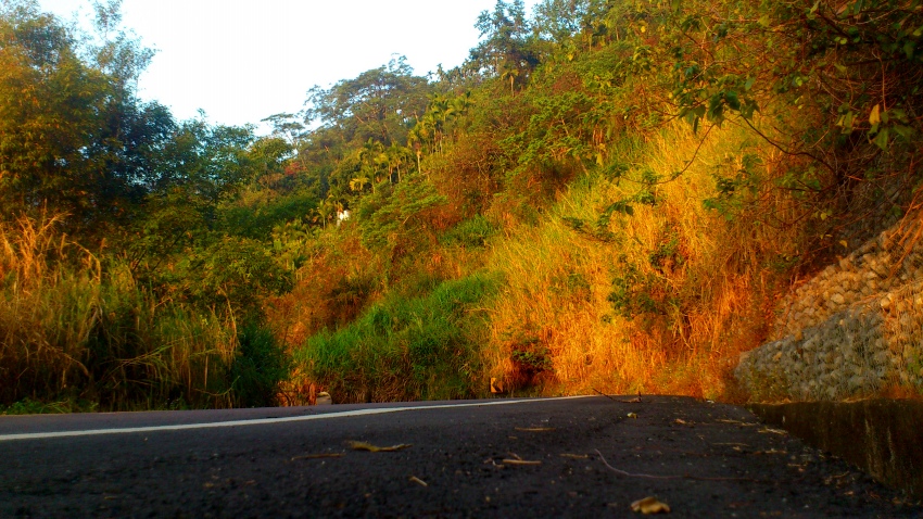 «ö¦¹¦b·sµøµ¡ÂsÄý¹Ï¤ù