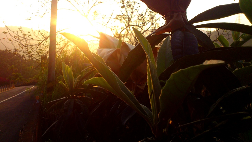 «ö¦¹¦b·sµøµ¡ÂsÄý¹Ï¤ù