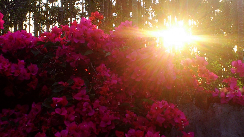 «ö¦¹¦b·sµøµ¡ÂsÄý¹Ï¤ù