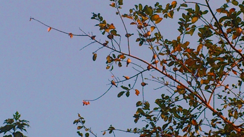 «ö¦¹¦b·sµøµ¡ÂsÄý¹Ï¤ù