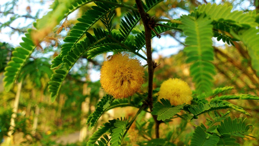 «ö¦¹¦b·sµøµ¡ÂsÄý¹Ï¤ù