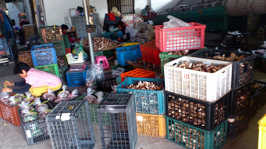 «ö¦¹¦b·sµøµ¡ÂsÄý¹Ï¤ù