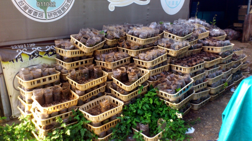 «ö¦¹¦b·sµøµ¡ÂsÄý¹Ï¤ù