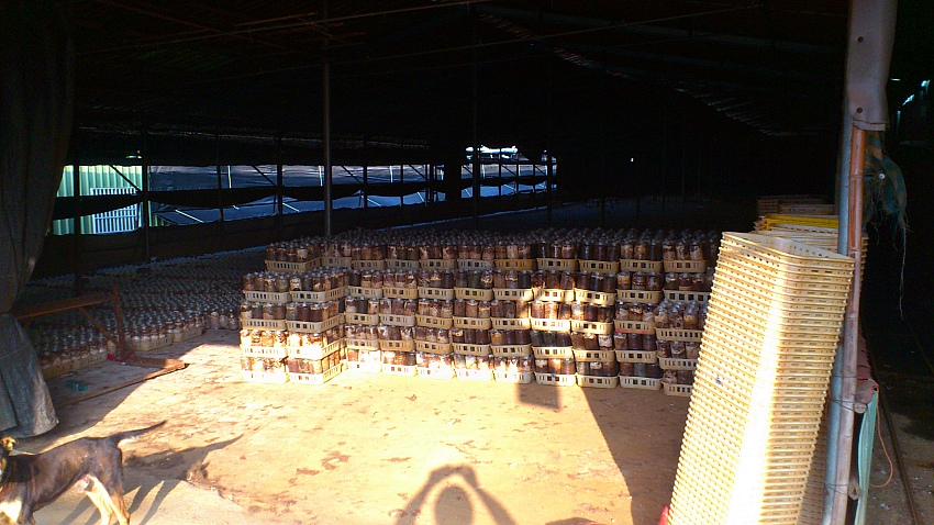 «ö¦¹¦b·sµøµ¡ÂsÄý¹Ï¤ù