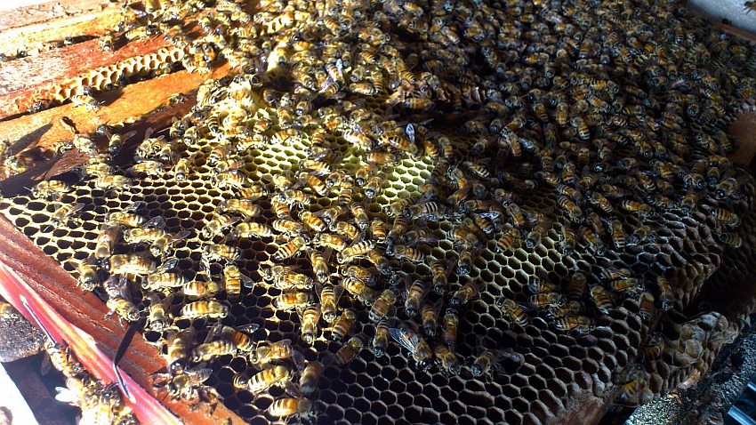 «ö¦¹¦b·sµøµ¡ÂsÄý¹Ï¤ù