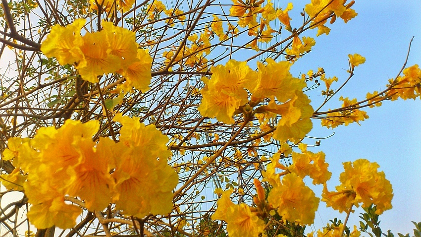 «ö¦¹¦b·sµøµ¡ÂsÄý¹Ï¤ù