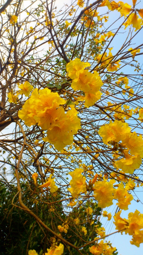 «ö¦¹¦b·sµøµ¡ÂsÄý¹Ï¤ù