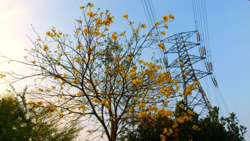 «ö¦¹¦b·sµøµ¡ÂsÄý¹Ï¤ù