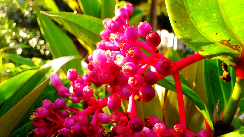 «ö¦¹¦b·sµøµ¡ÂsÄý¹Ï¤ù