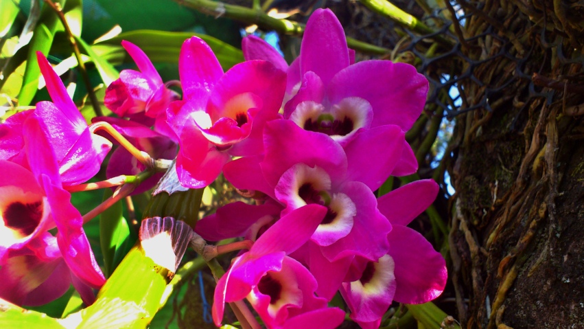 «ö¦¹¦b·sµøµ¡ÂsÄý¹Ï¤ù