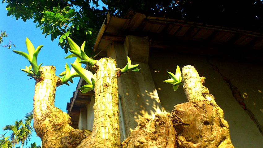 «ö¦¹¦b·sµøµ¡ÂsÄý¹Ï¤ù