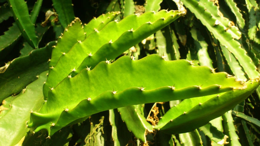 «ö¦¹¦b·sµøµ¡ÂsÄý¹Ï¤ù