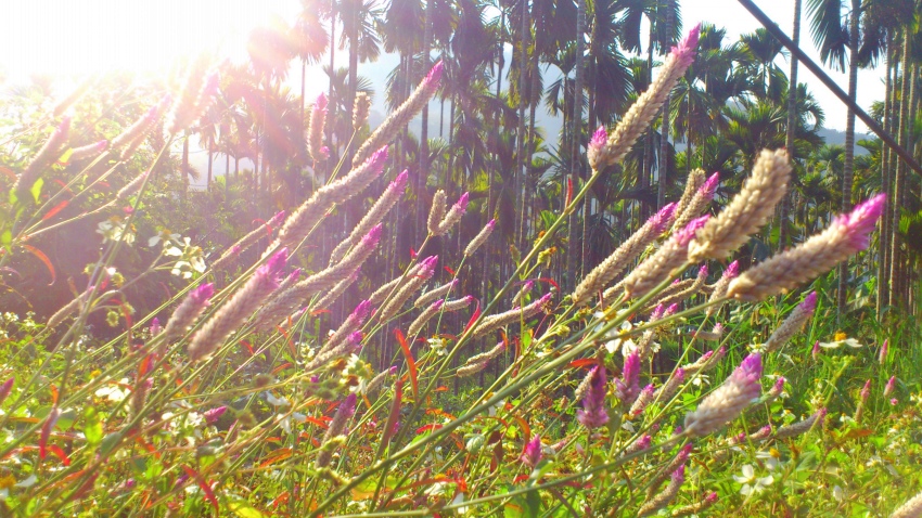 «ö¦¹¦b·sµøµ¡ÂsÄý¹Ï¤ù