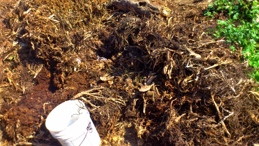 «ö¦¹¦b·sµøµ¡ÂsÄý¹Ï¤ù