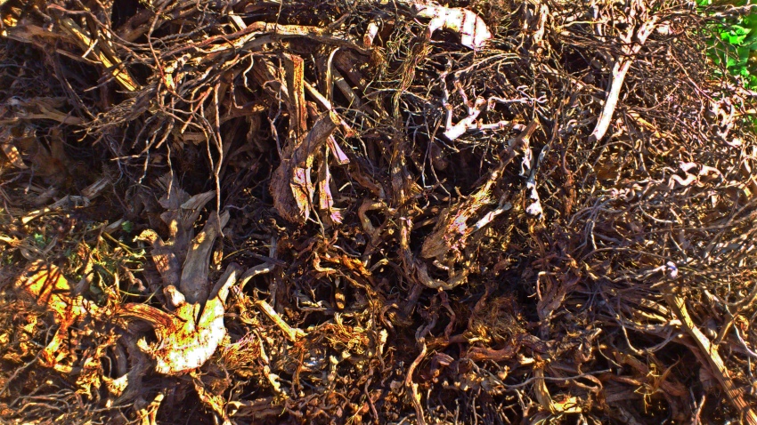 «ö¦¹¦b·sµøµ¡ÂsÄý¹Ï¤ù