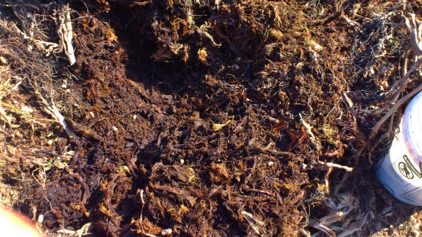 «ö¦¹¦b·sµøµ¡ÂsÄý¹Ï¤ù