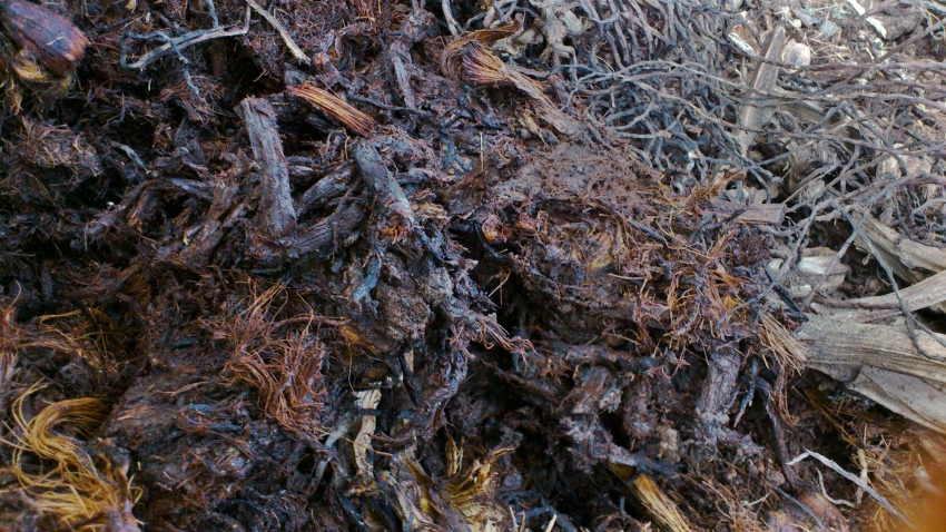 «ö¦¹¦b·sµøµ¡ÂsÄý¹Ï¤ù