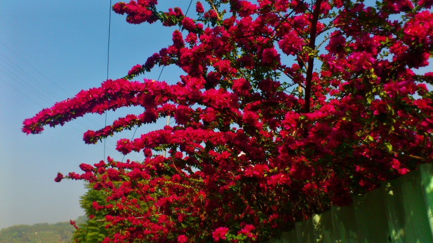 «ö¦¹¦b·sµøµ¡ÂsÄý¹Ï¤ù