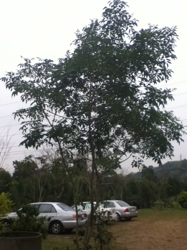 «ö¦¹¦b·sµøµ¡ÂsÄý¹Ï¤ù