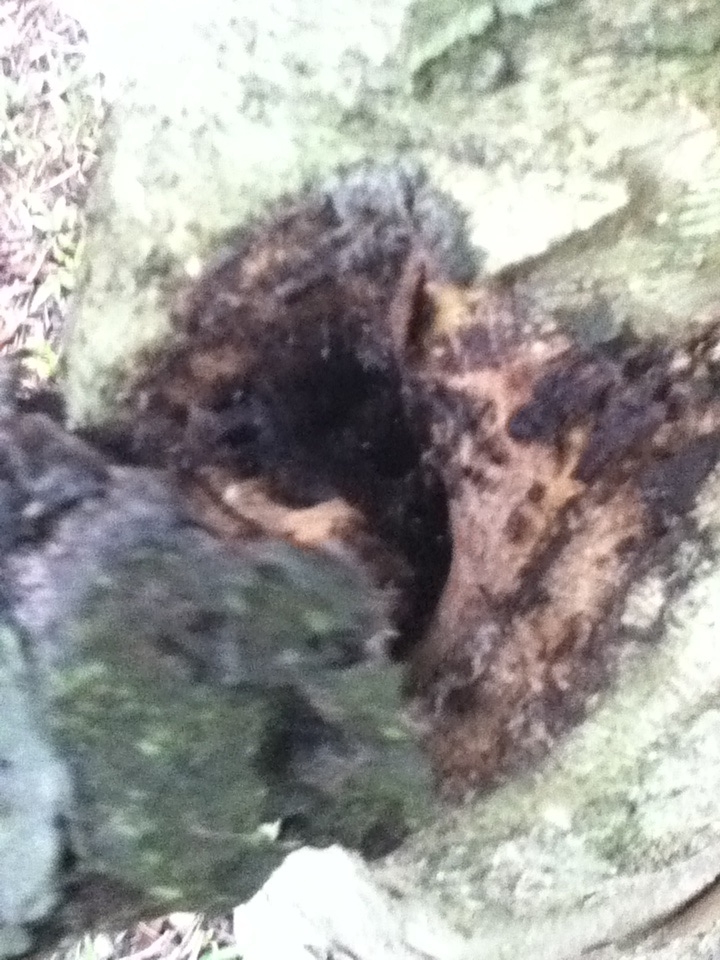 «ö¦¹¦b·sµøµ¡ÂsÄý¹Ï¤ù