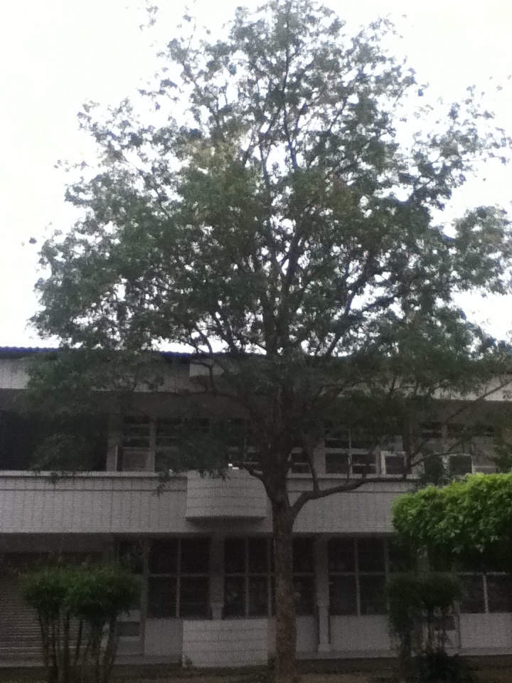 «ö¦¹¦b·sµøµ¡ÂsÄý¹Ï¤ù