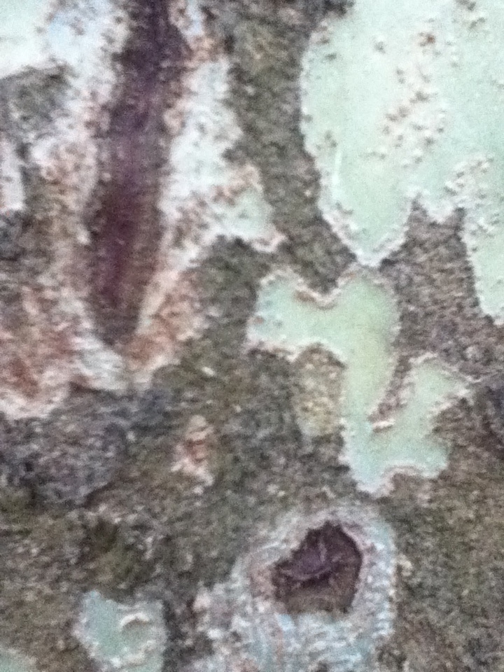 «ö¦¹¦b·sµøµ¡ÂsÄý¹Ï¤ù