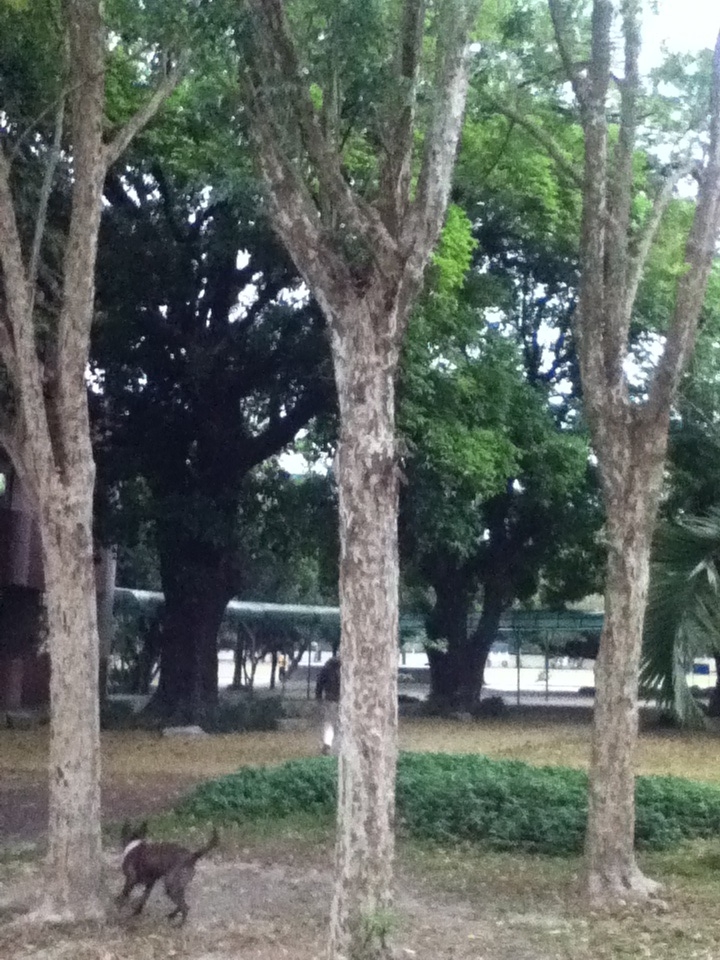 «ö¦¹¦b·sµøµ¡ÂsÄý¹Ï¤ù