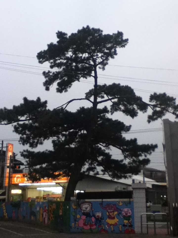 «ö¦¹¦b·sµøµ¡ÂsÄý¹Ï¤ù