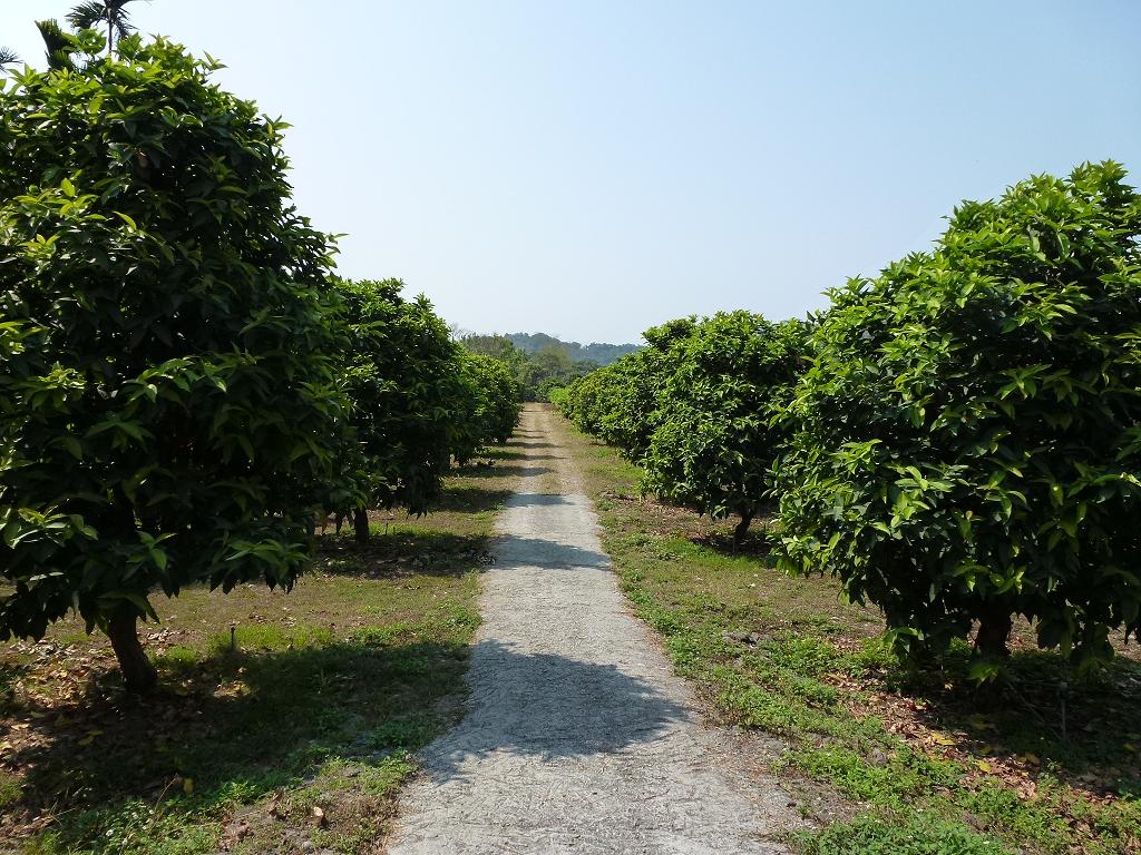 «ö¦¹¦b·sµøµ¡ÂsÄý¹Ï¤ù