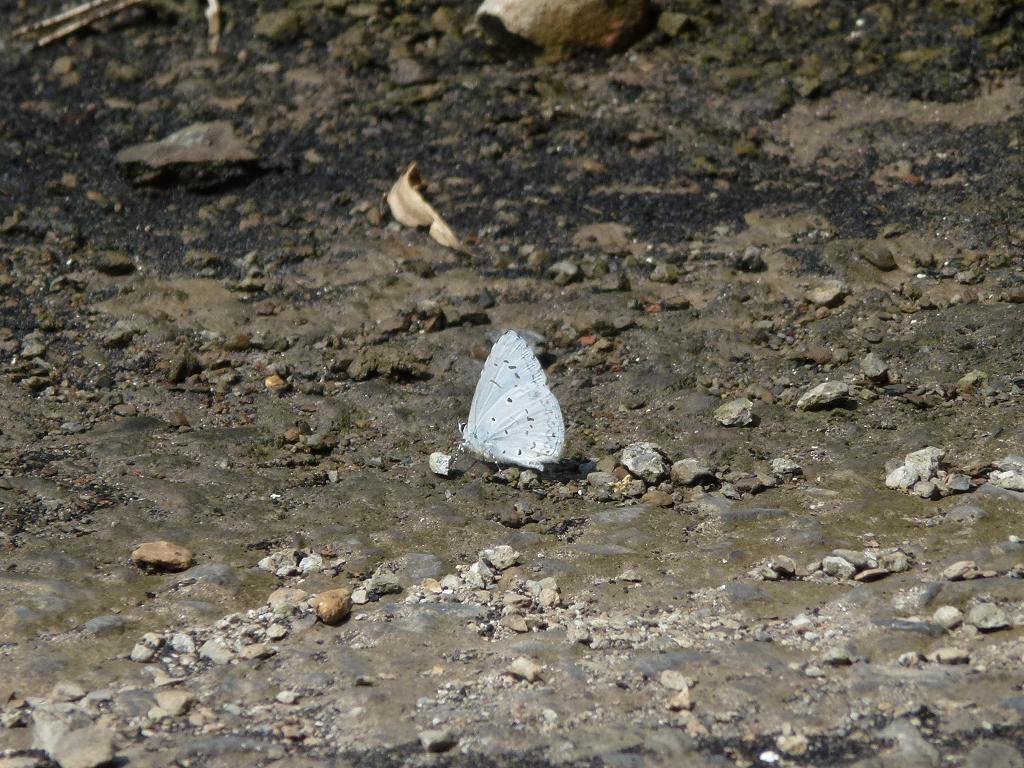 «ö¦¹¦b·sµøµ¡ÂsÄý¹Ï¤ù