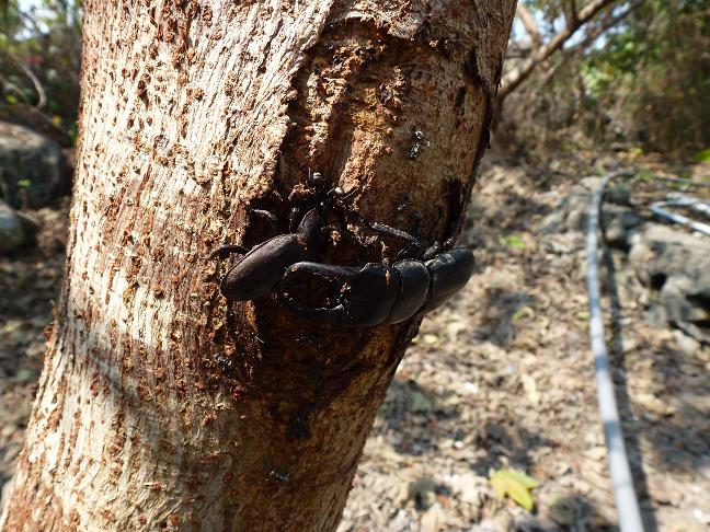 «ö¦¹¦b·sµøµ¡ÂsÄý¹Ï¤ù