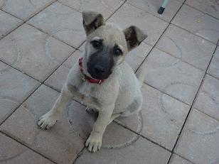 «ö¦¹¦b·sµøµ¡ÂsÄý¹Ï¤ù