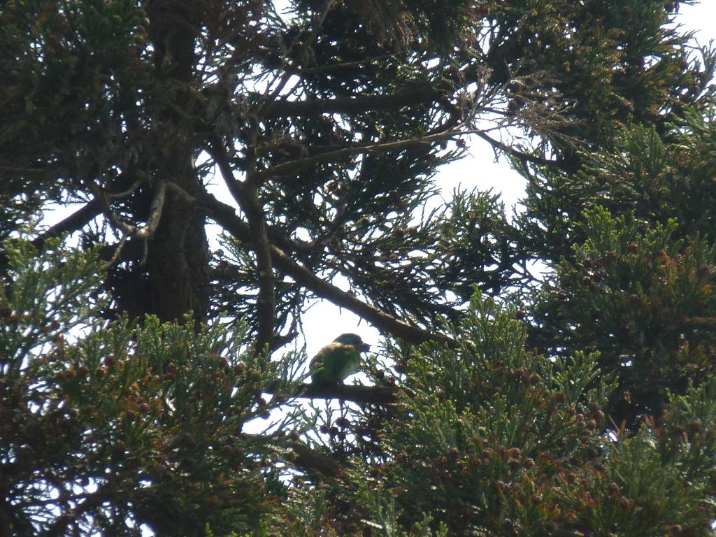 «ö¦¹¦b·sµøµ¡ÂsÄý¹Ï¤ù