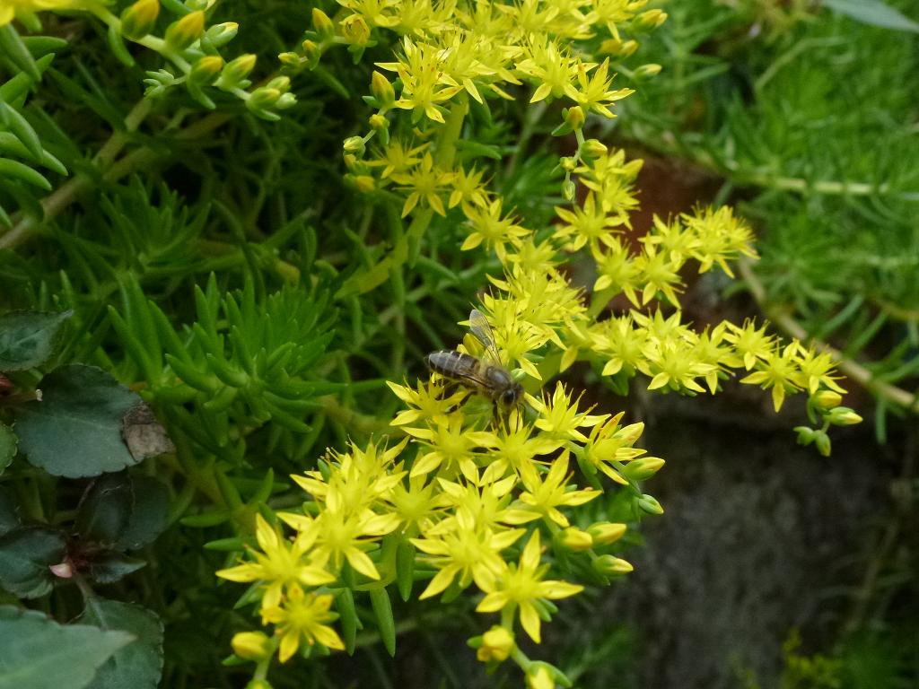 «ö¦¹¦b·sµøµ¡ÂsÄý¹Ï¤ù